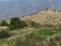   (  ) Chukalik pass (behind a red hill)