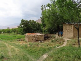    I came into a village