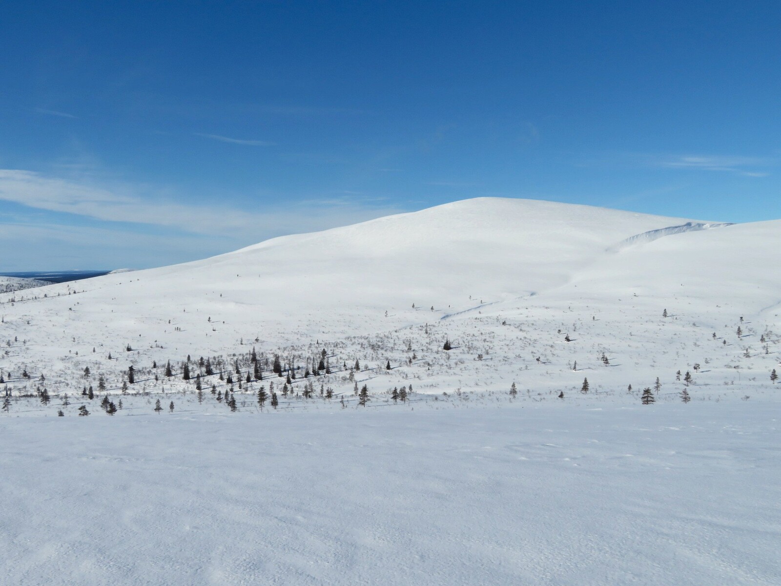  Vuomapää,    