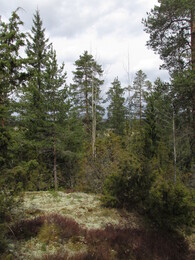 Tunturivuori