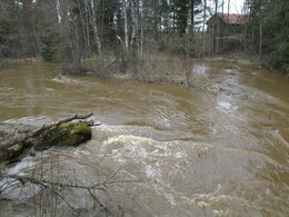 Pikkukoski