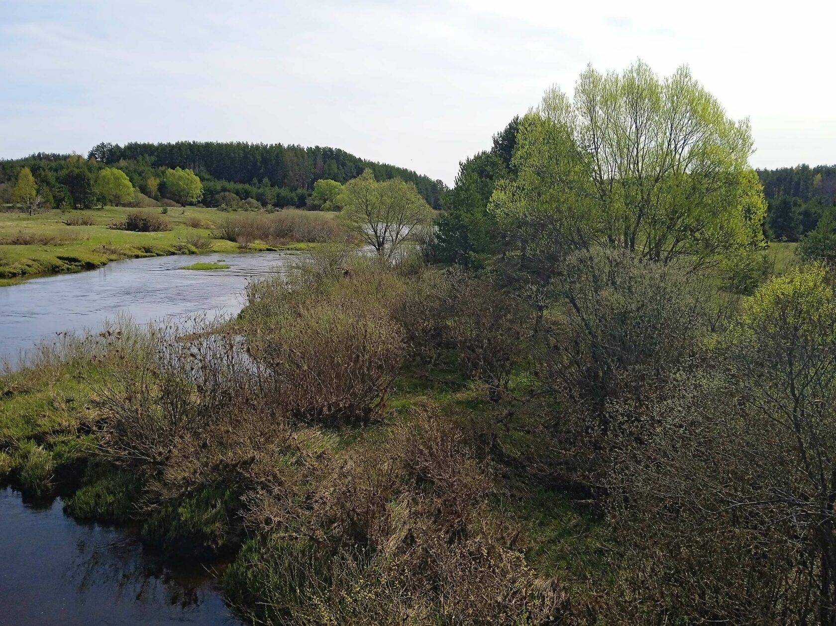 ���� ���������