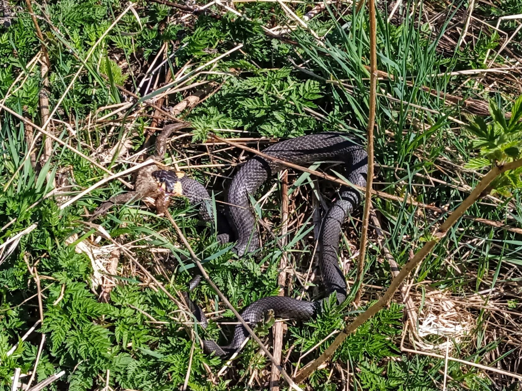 �� ���� �������