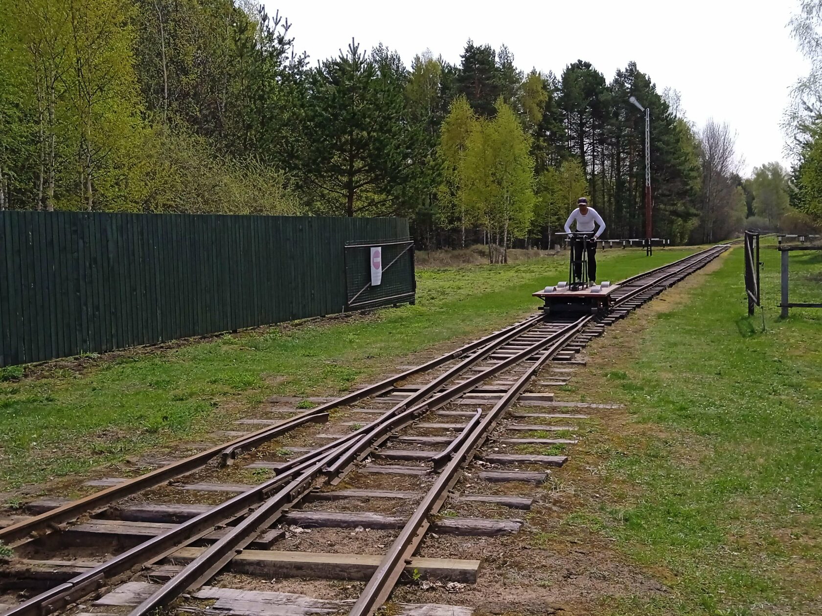 ���� ���� �� �������