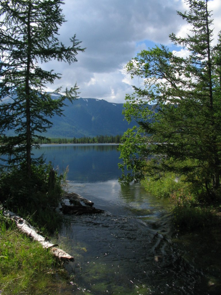 3-  -