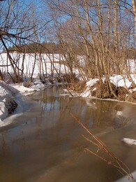 ���������, 17 ����� 2002