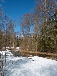 �������� ������� ������ � ���������, �����������, 30 ����� 2002