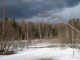 �������� ������� ������ � ���������, �����������, 30 ����� 2002