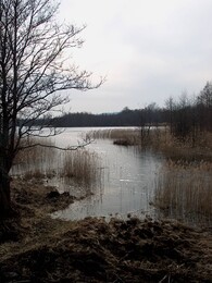 ���� �����, ��������� �������, 13 ������ 2002