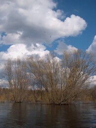 ���� �����, ��������� �������������, �������, 30 ������ 2002