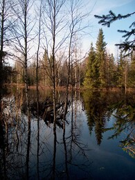 ��������� �������������, �������, 2 ��� 2002