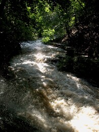 ���, ����� �����, 16 ���� 2002