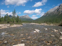 �������� ���� ���, �����, 2 ������� 2002