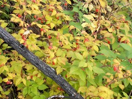 �����, 6 ������� 2002