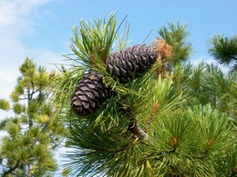 �����, 9 ������� 2002