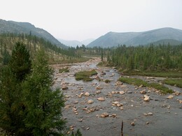 ���� �����, �����, 13 ������� 2002