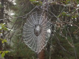 �����, 17 ������� 2002