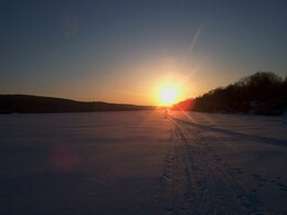 ���� ���, �����������, 8 ����� 2003