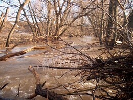 ���� �����, ��������� �������, 14 ������ 2003