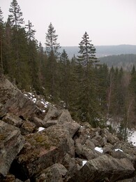 �������� ����������, 29 ������ 2003