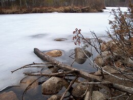 ��������� �������������, �������, 1 ��� 2003