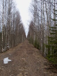 ��������� �������������, �������, 6 ��� 2003