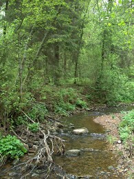 ����-������, �����������, 24 ��� 2003