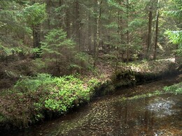 ����-������, �����������, 24 ��� 2003