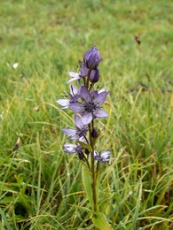 ��������� ������, �����, 25 ���� 2003