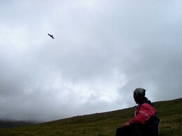 ��������� ������, �����, 25 ���� 2003