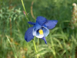 ��������� ������, �����, 26 ���� 2003