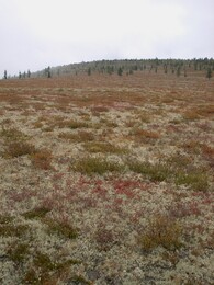 ��������� ���������, �����, 26 �������, 2003