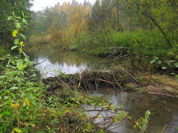 �������� �������, �����������, 5 ������� 2003