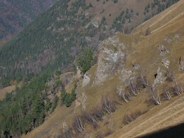 ������ ���� ������� ��������, ������, 22 ������� 2003