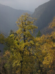 ������ ���� ������� ��������, ������, 22 ������� 2003