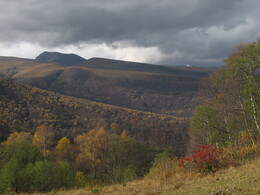 ������ ���� ������� ��������, ����� ����� ������������, ������, 24 ������� 2003