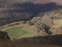 ������ ���� ������� ��������, ������, 24 ������� 2003