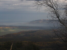 ������ ���� ������� ��������, ������, 24 ������� 2003