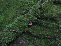 ���������� ��������, 9 ������ 2003