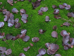 ���������� ��������, 9 ������ 2003