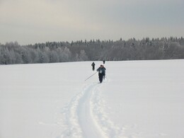 �����������, 24 ������ 2004