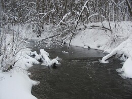 �����������, 24 ������ 2004