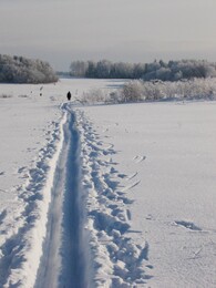 �����������, 24 ������ 2004