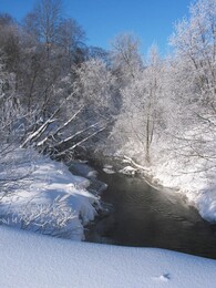 �����������, 14 ������� 2004