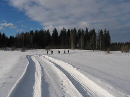 �����������, 13 ����� 2004