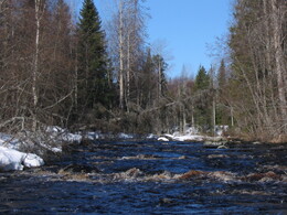 ��������, �������, 1 ��� 2004