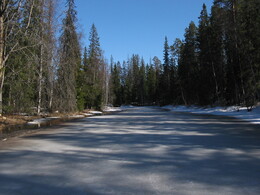 ��������, �������, 1 ��� 2004