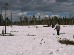 ��������, �������, 2 ��� 2004