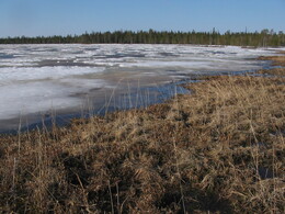 ��������, �������, 3 ��� 2004