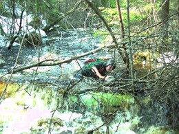 ���� ������� ���, ��������� �������������, �������, 6 ��� 2004